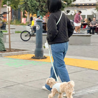 5 - Piece Hands Free Set – Leash, Harness, Collar, Treat Pouch & Waste Bag Holder - SUNNY TAILS