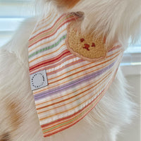 Sherbet Teddy Dog Bandana