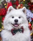 Green Tartan Flannel Dog Bow Tie - SUNNY TAILS