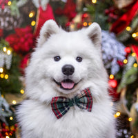 Green Tartan Flannel Dog Bow Tie