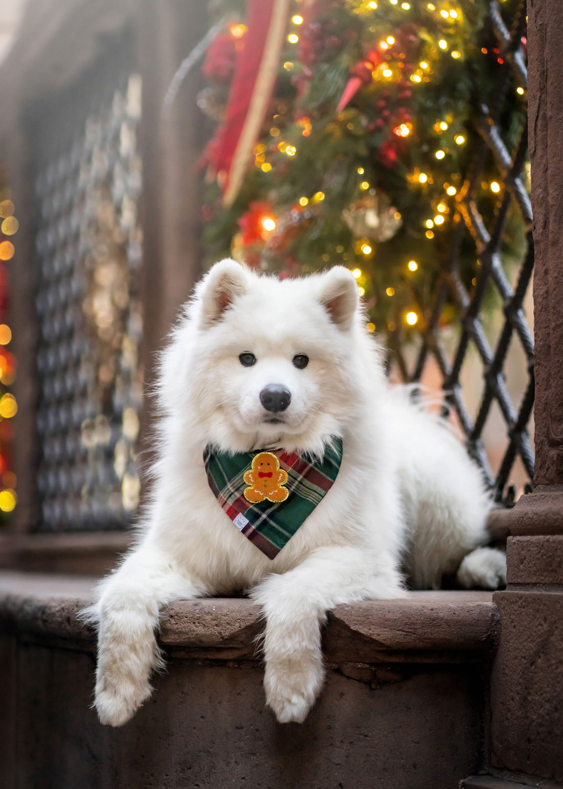 Gingerbread Green Tartan Flannel Dog Bandana