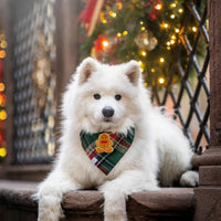 Gingerbread Green Tartan Flannel Dog Bandana