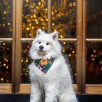 Gingerbread Green Tartan Flannel Dog Bandana