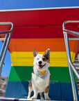 Rainbow Smiles Dog Bandana
