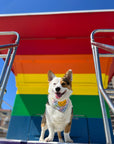 Rainbow Smiles Dog Bandana - SUNNY TAILS