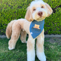 Pocket Teddy Indigo Denim Dog Bandana - Beige