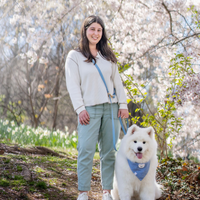 Cloud Lite Dog Harness Bundle
