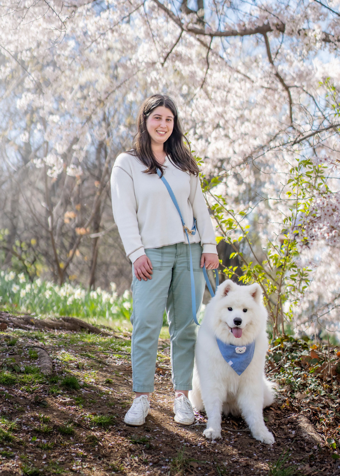 Cloud Dog Collar Bundle Wide