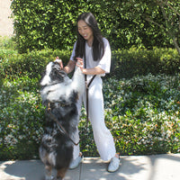 Ember Black Convertible Hands Free Cloud Dog Leah With Heavy Duty Twist Lock Clip