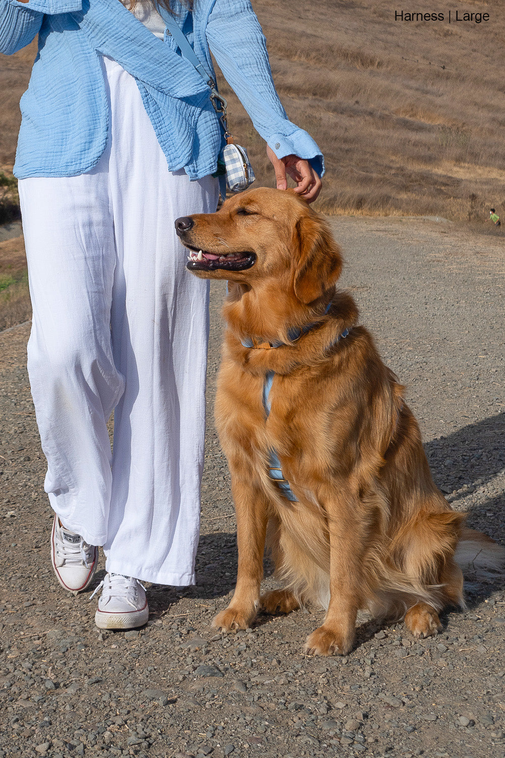 Malibu Blue Cloud Lite Dog Harness | Waterproof Dog Harness | No Pull Front Attachment | Available in 3 Sizes