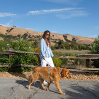 Malibu Blue Cloud Lite Dog Harness | Waterproof Dog Harness | No Pull Front Attachment | Available in 3 Sizes
