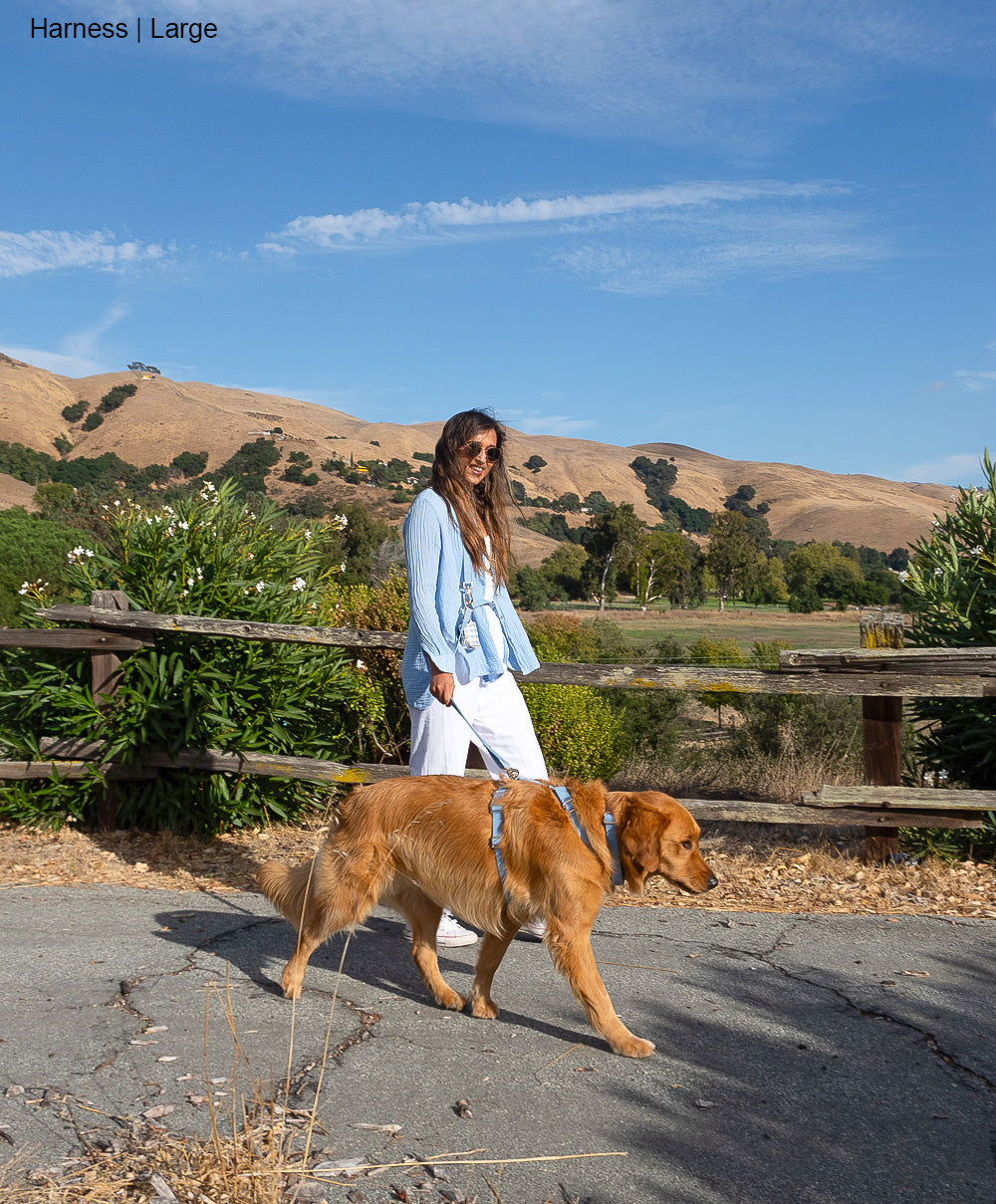 Malibu Blue Wide 4-in-1 Convertible Hands Free Cloud Dog Leash