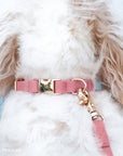 Perfect Pink Waterproof Dog Collar | Light Pink Quick Release Collar | Available in 3 Sizes | Durable Dog Collars | Shop Sunny Tails
