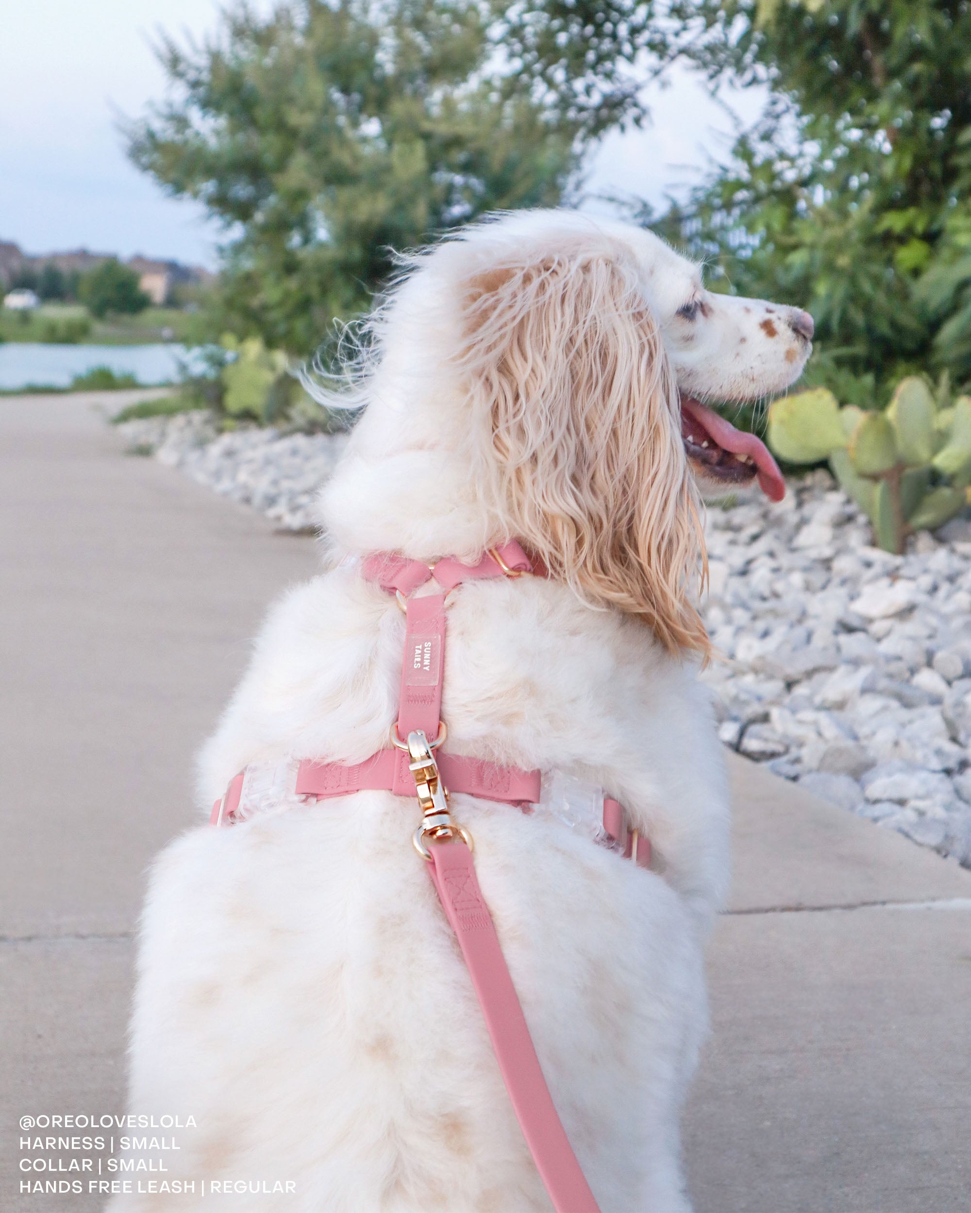 Perfect Pink Waterproof Cloud Dog Leash | Lightweight PVC Leash | Odor Proof, Stink Proof, and Durable | Available in 3 Lengths