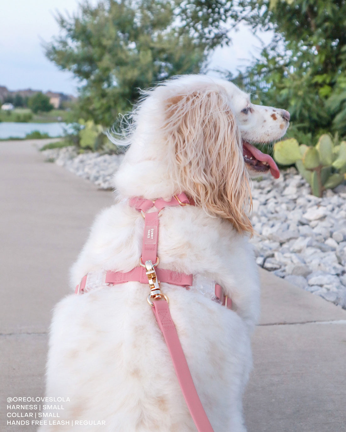 Perfect Pink Waterproof Cloud Dog Leash | Lightweight PVC Leash | Odor Proof, Stink Proof, and Durable | Available in 3 Lengths