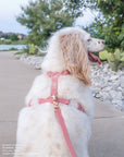 Perfect Pink Waterproof Cloud Dog Leash | Lightweight PVC Leash | Odor Proof, Stink Proof, and Durable | Available in 3 Lengths
