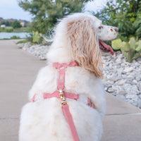 Perfect Pink Waterproof Cloud Dog Leash | Lightweight PVC Leash | Odor Proof, Stink Proof, and Durable | Available in 3 Lengths