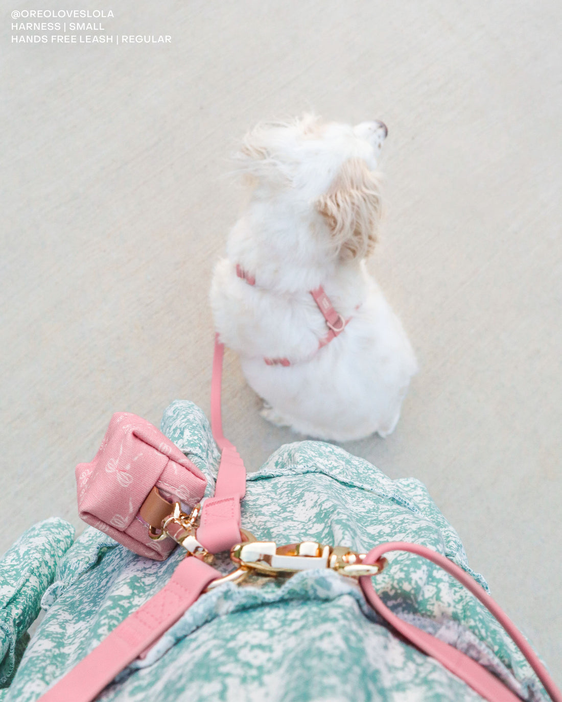 Perfect Pink 4-in-1 Convertible Hands Free Dog Leash | Multifunctional, Waterproof, and Lightweight Dog Leash | No Pull Dog Harness | Silicone Dog Treat Pouch | Dog Waste Poop Bag Dispenser