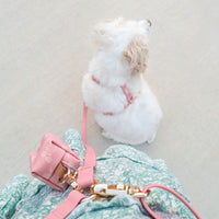 Perfect Pink 4-in-1 Convertible Hands Free Dog Leash | Multifunctional, Waterproof, and Lightweight Dog Leash | No Pull Dog Harness | Silicone Dog Treat Pouch | Dog Waste Poop Bag Dispenser