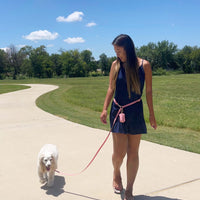 Cloud Lite Dog Harness Bundle