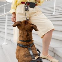 Ember Black Convertible Hands Free Cloud Dog Leash | Crossbody, Waterproof, and Lightweight Dog Leash | Dog Treat Pouch | Waterproof Dog Harness | Waterproof Dog Collar | Sunny Tails