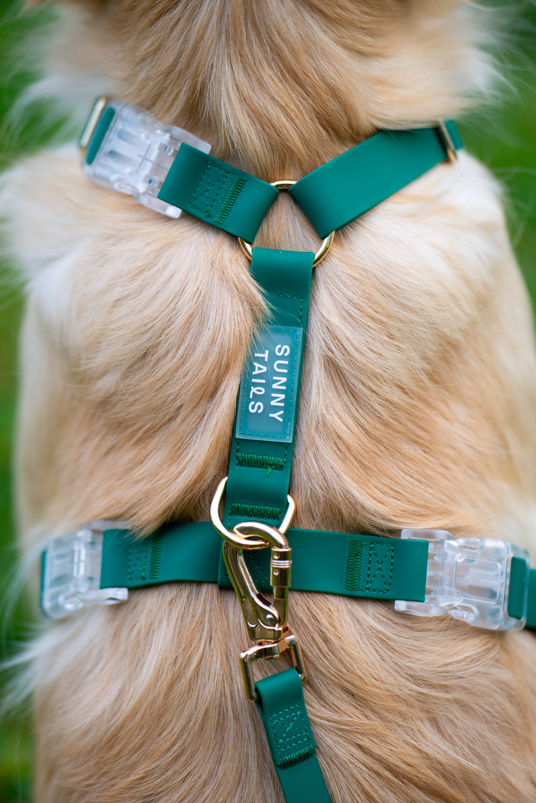 Meadow Green Cloud Lite Dog Harness | Waterproof Dog Harness | No Pull Front Attachment | Available in 3 Sizes