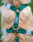 Best Sellers Harness & Treat Pouch Bundle - SUNNY TAILS