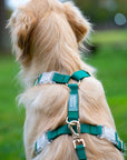 Meadow Green Cloud Lite Dog Harness - SUNNY TAILS