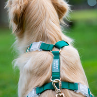 Meadow Green Cloud Lite Dog Harness | Waterproof Dog Harness | No Pull Front Attachment | Available in 3 Sizes