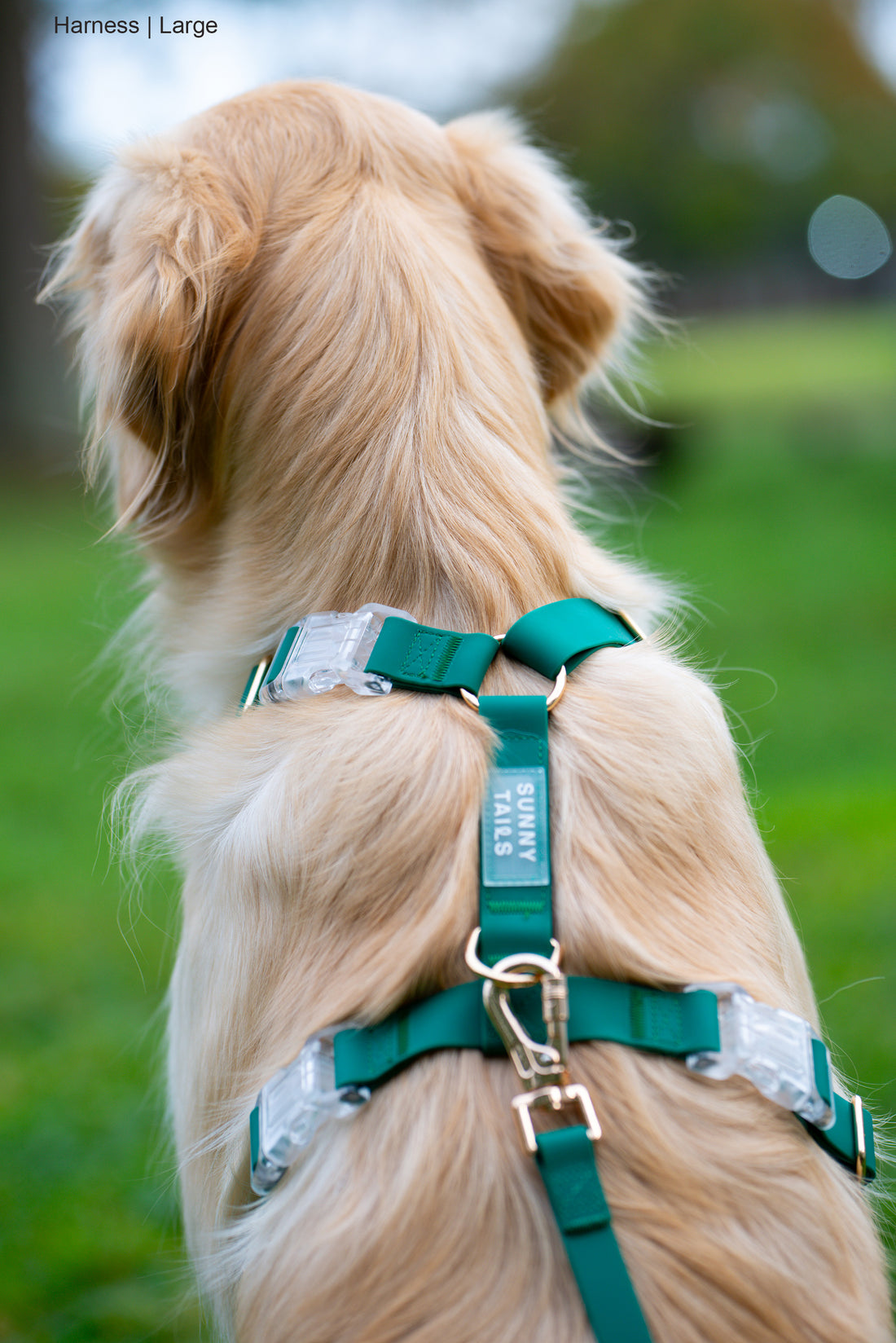 Meadow Green Wide Cloud Lite Dog Harness Bundle 3/4"