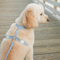 Malibu Blue Cloud Lite Dog Harness