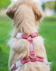Cloud Lite Dog Harness Bundle