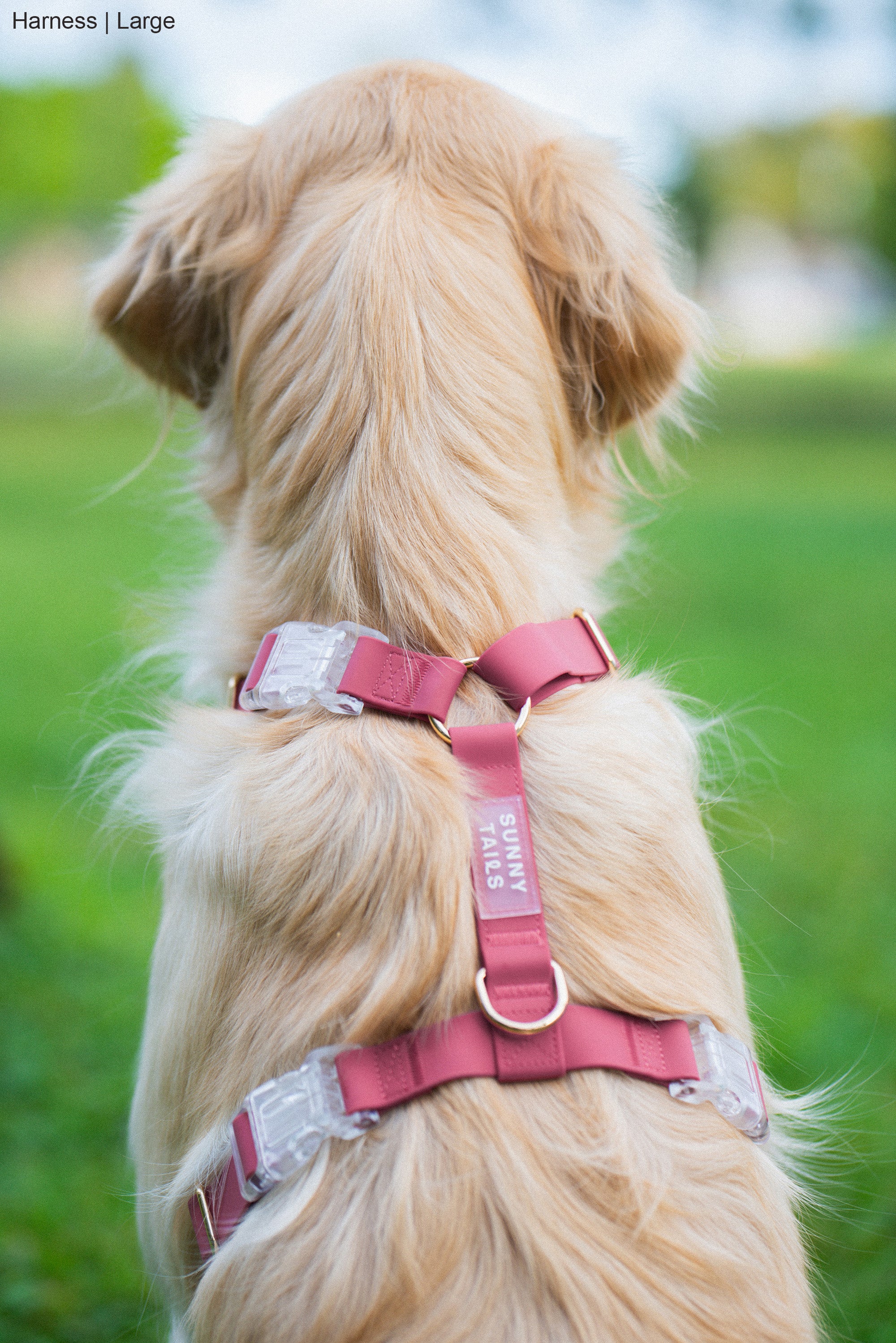 Leather Lite Tracking Harness - Burgundy - Small