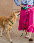 Best Sellers Harness & Standard Treat Pouch Bundle (Standard leash preorder ship by 6/12)