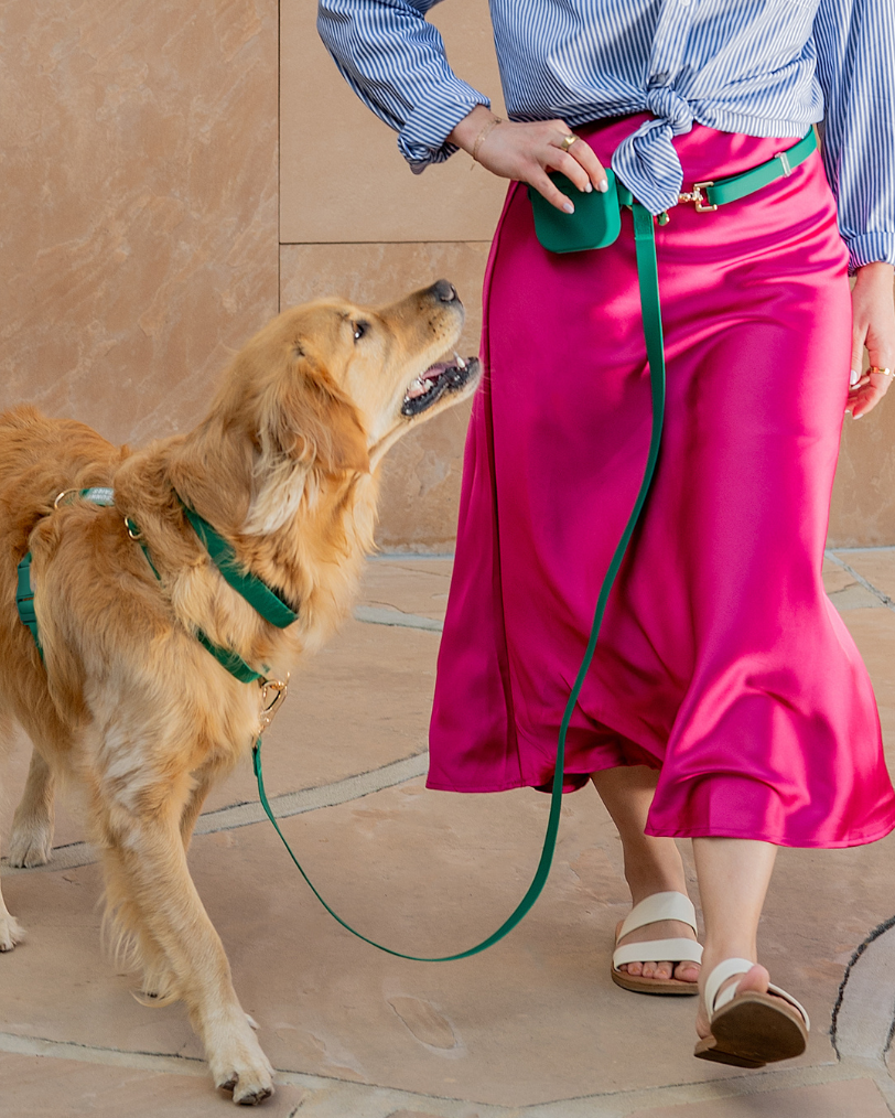 Best Sellers Collar & Treat Pouch Bundle – SUNNY TAILS