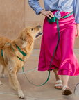 Best Sellers Collar & Treat Pouch Bundle