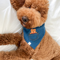 Pocket Teddy Indigo Denim Dog Bandana - Beige