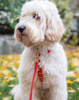 Cherry Red Waterproof Cloud Dog Leash - SUNNY TAILS