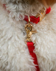 Cherry Red Waterproof Cloud Dog Leash