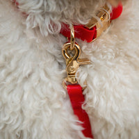 Cherry Red Cloud Dog Collar Bundle