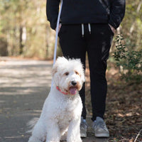 Cloud Convertible Leash Extension Bundle - SUNNY TAILS