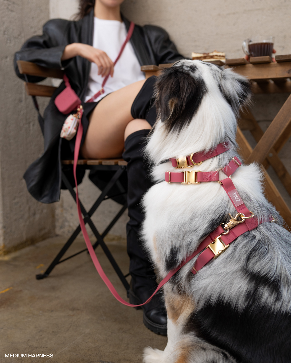 Mulberry Burgundy 4-in-1 Convertible Hands Free Cloud Dog Leash | Multifunctional, Waterproof, and Lightweight Dog Leash | No Pull Dog Harness | Snap Dog Treat Pouch | Dog Waste Poop Bag Dispenser