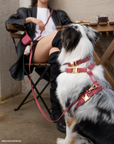 Mulberry Burgundy 4-in-1 Convertible Hands Free Cloud Dog Leash | Multifunctional, Waterproof, and Lightweight Dog Leash | No Pull Dog Harness | Snap Dog Treat Pouch | Dog Waste Poop Bag Dispenser