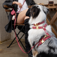 Mulberry Burgundy 4-in-1 Convertible Hands Free Cloud Dog Leash | Multifunctional, Waterproof, and Lightweight Dog Leash | No Pull Dog Harness | Snap Dog Treat Pouch | Dog Waste Poop Bag Dispenser