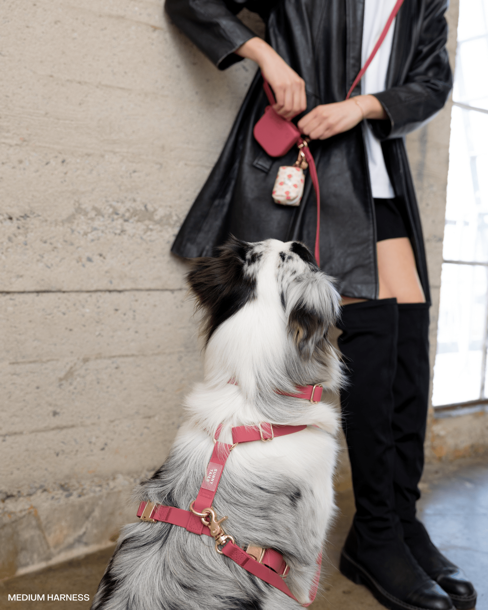 Mulberry Burgundy Snap Dog Treat Pouch | Dog Training Bag | Dog