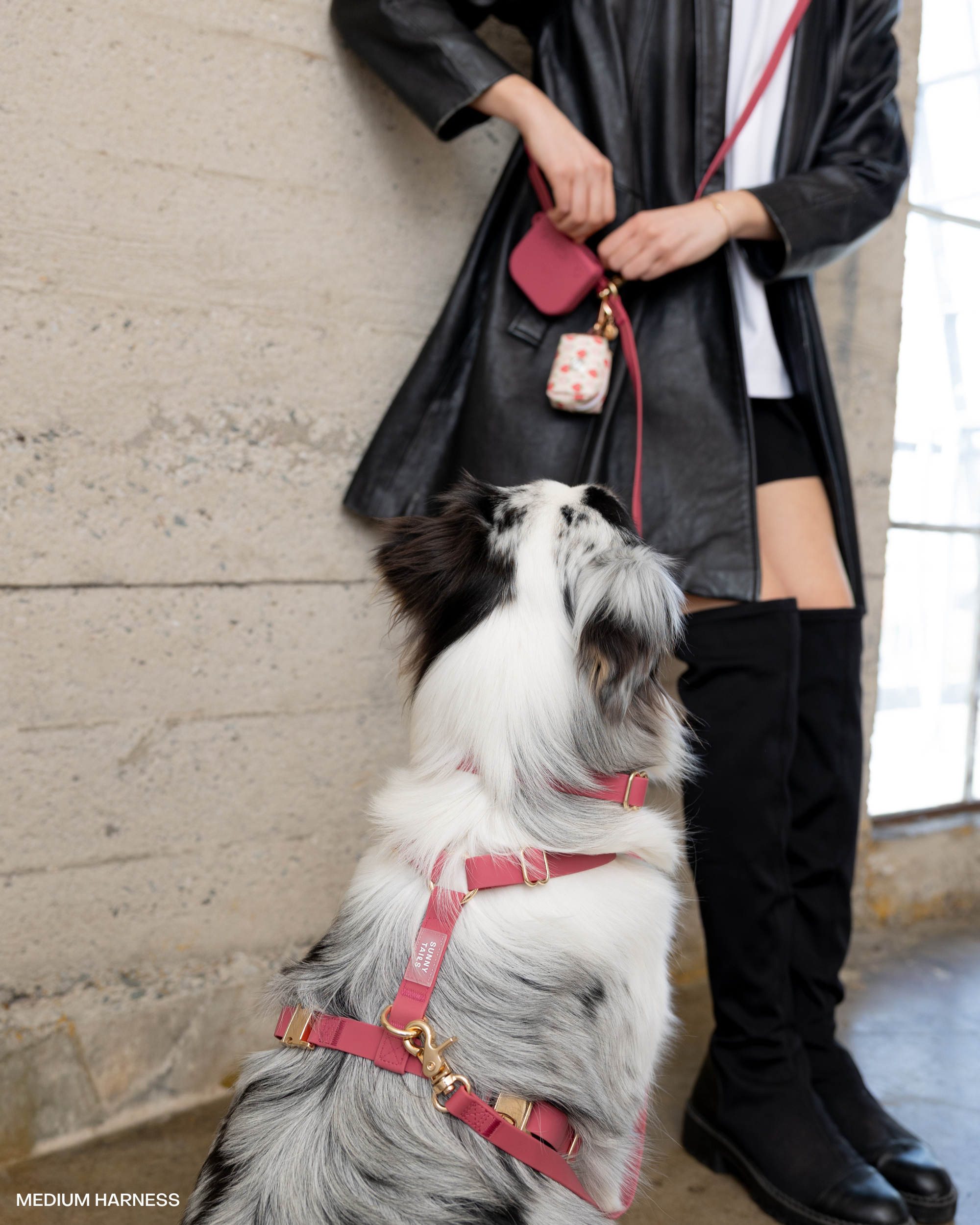 Mulberry Burgundy 4-in-1 Convertible Hands Free Cloud Dog Leash | Multifunctional, Waterproof, and Lightweight Dog Leash | No Pull Dog Harness | Snap Dog Treat Pouch | Dog Waste Poop Bag Dispenser