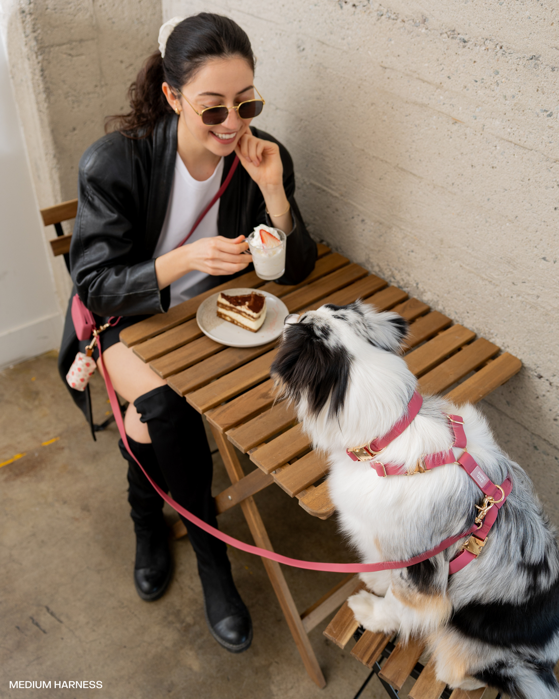 Mulberry Burgundy 4-in-1 Convertible Hands Free Cloud Dog Leash | Multifunctional, Waterproof, and Lightweight Dog Leash | No Pull Dog Harness | Snap Dog Treat Pouch | Dog Waste Poop Bag Dispenser