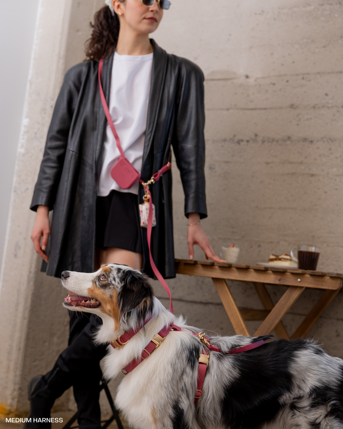 Mulberry Burgundy 4-in-1 Convertible Hands Free Cloud Dog Leash | Multifunctional, Waterproof, and Lightweight Dog Leash | No Pull Dog Harness | Snap Dog Treat Pouch | Dog Waste Poop Bag Dispenser
