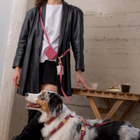 Mulberry Burgundy 4-in-1 Convertible Hands Free Cloud Dog Leash | Multifunctional, Waterproof, and Lightweight Dog Leash | No Pull Dog Harness | Snap Dog Treat Pouch | Dog Waste Poop Bag Dispenser