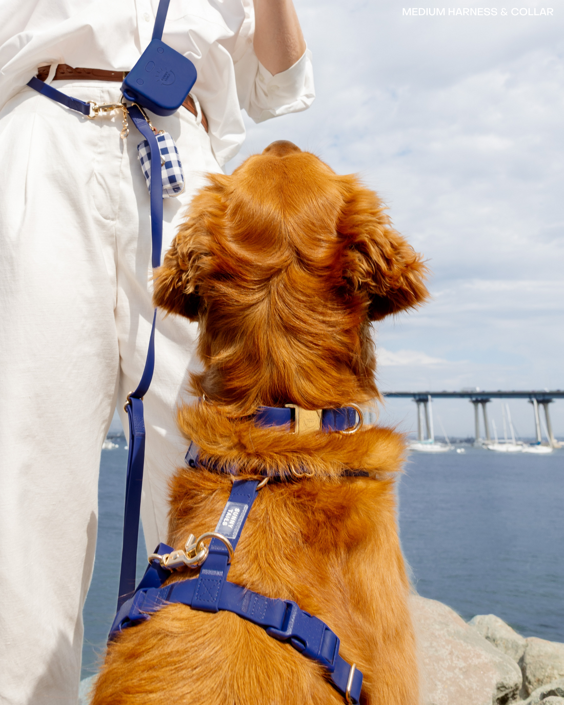 Signature Navy Waterproof Dog Collar | Dark Blue Quick Release Collar | Available in 3 Sizes | Durable Dog Collars | Sunny Tails